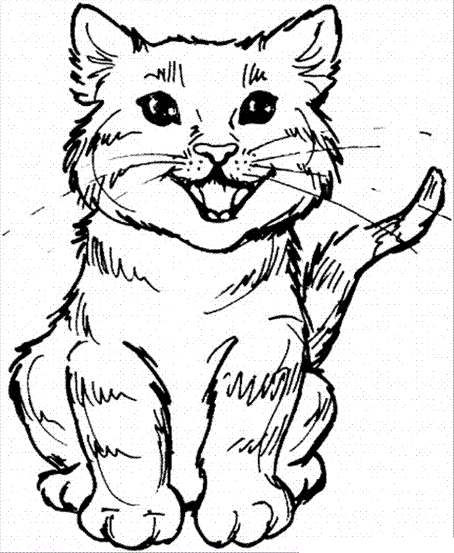 free printable cat coloring pages for kids free printable cat