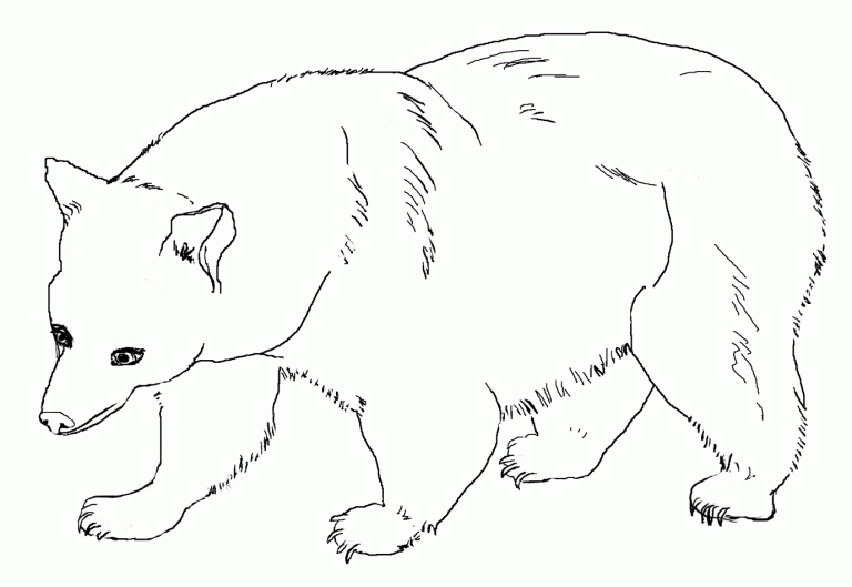 Free Printable Bear Coloring Pages For Kids