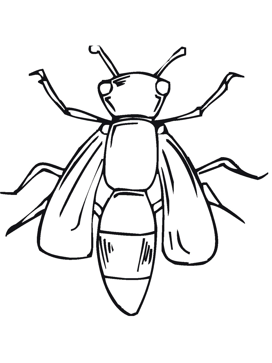 cartoon insect coloring pages