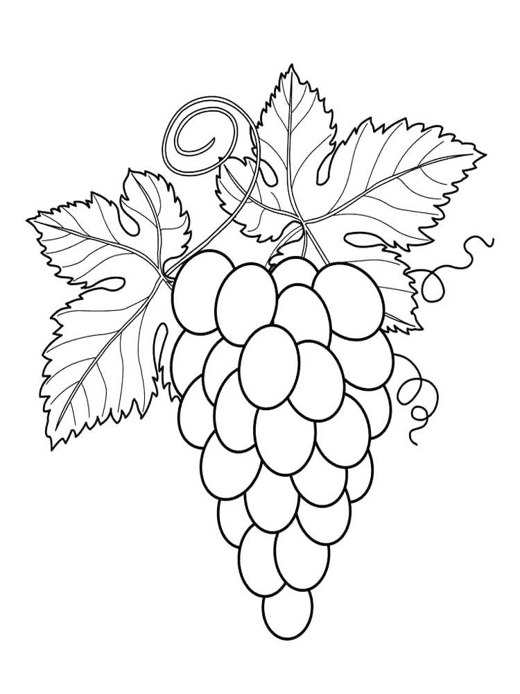 Bunch O Grapes Coloring Page