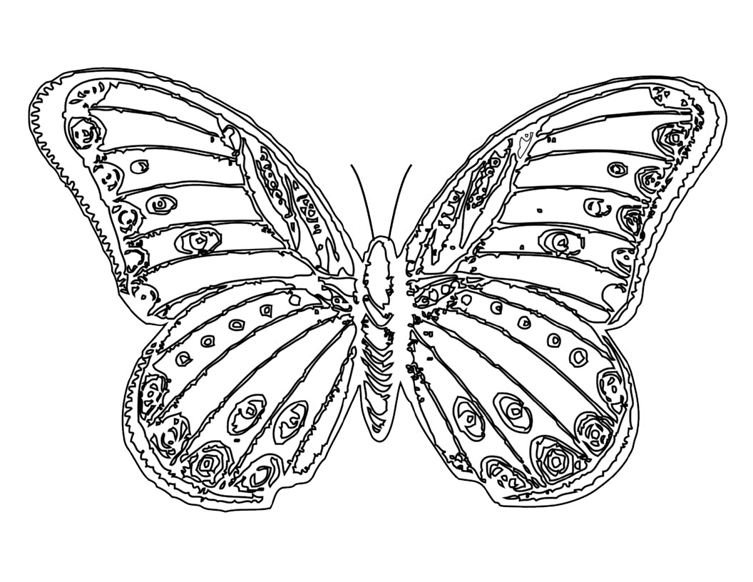 Download Free Printable Butterfly Coloring Pages For Kids