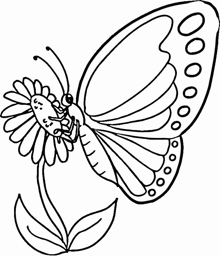 free printable butterfly coloring pages for kids