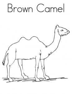 Free Printable Camel Coloring Pages For Kids