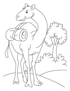 free printable camel coloring pages for kids