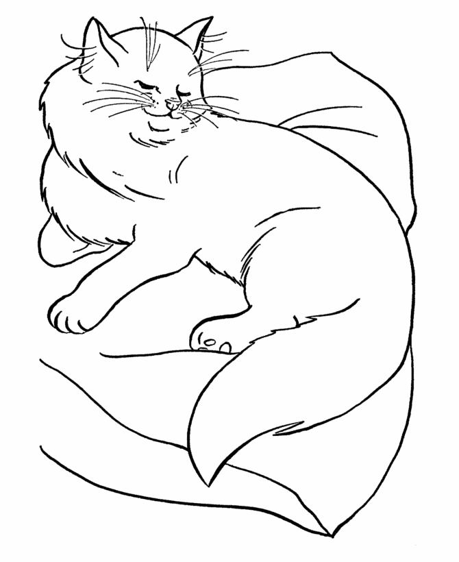 Cat Coloring Sheets To Print 5