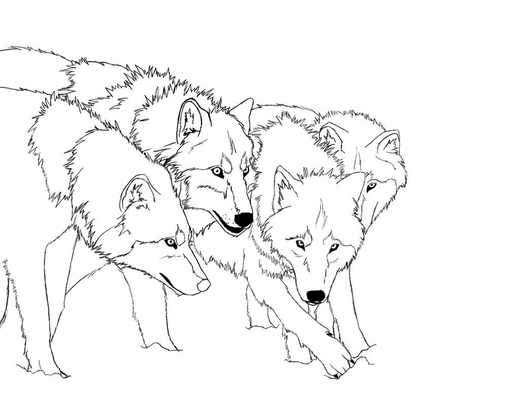 26-baby-wolf-coloring-pages-for-kids
