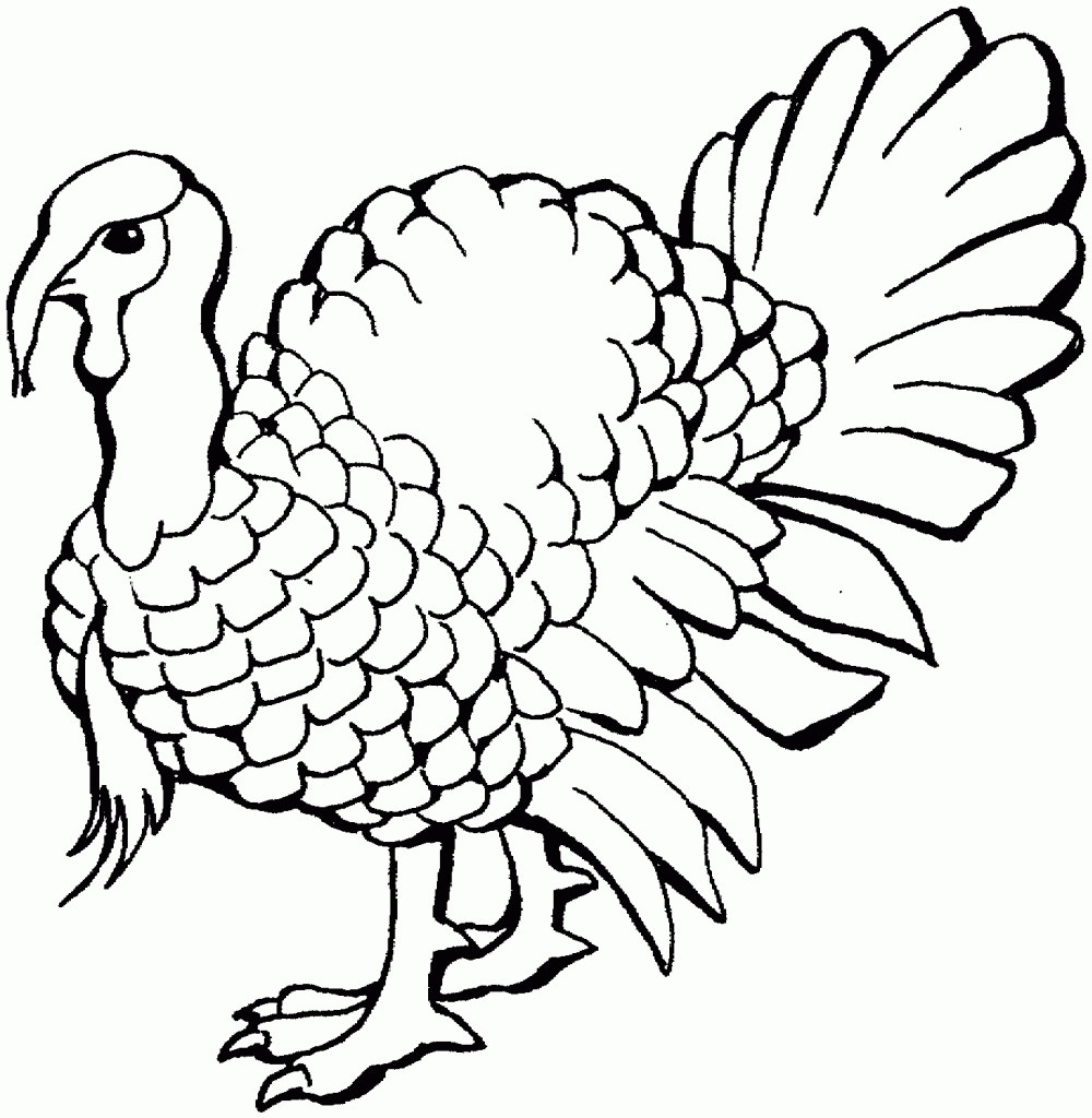 Turkeys Coloring Pages - Learny Kids