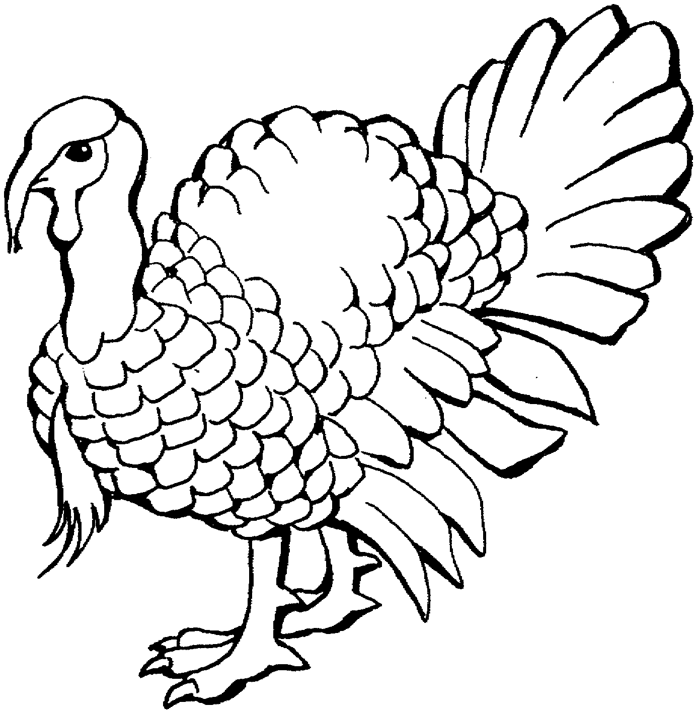printable-color-turkey