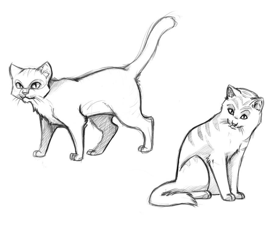 56 Warrior Cat Coloring Pages  HD