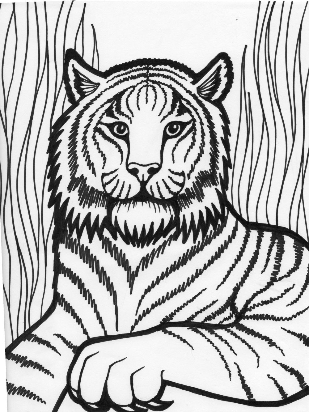 Tiger Coloring Pictures 2