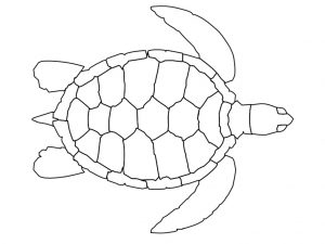 Free Printable Turtle Coloring Pages For Kids