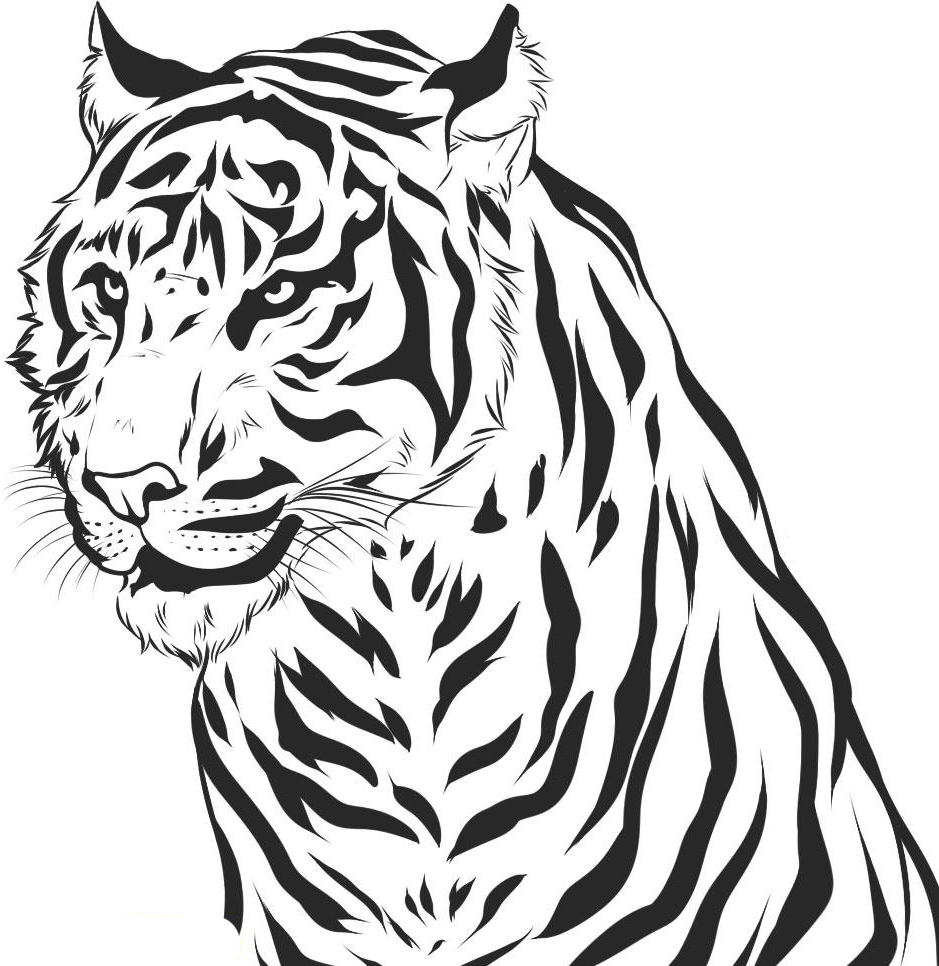 334 Cute Print Tiger Coloring Pages for Kindergarten