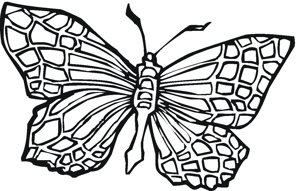 butterfly-template-free-printable-printable-templates