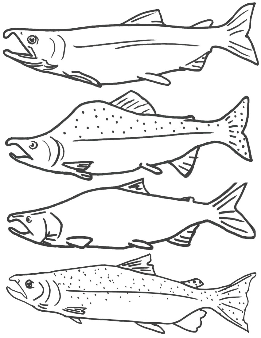 Free Printable Fish Coloring Pages For Kids Coloring Wallpapers Download Free Images Wallpaper [coloring536.blogspot.com]