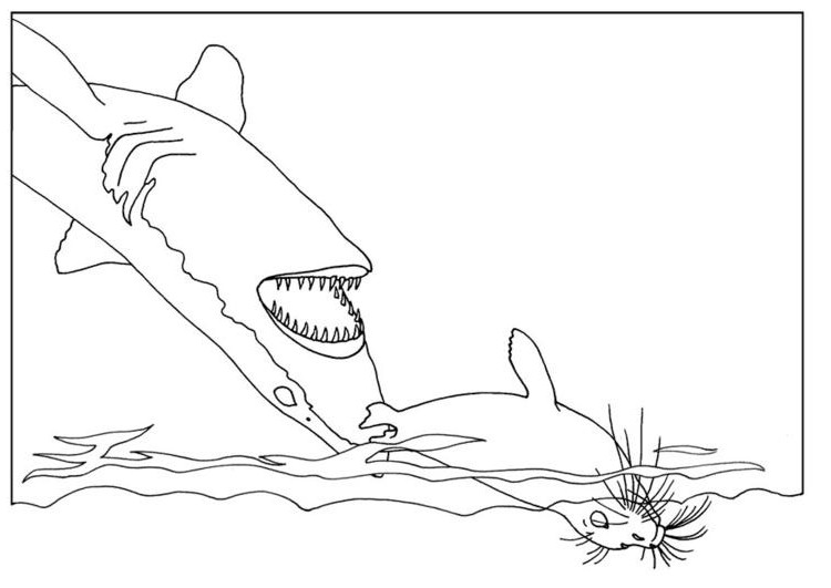 free printable shark coloring pages for kids