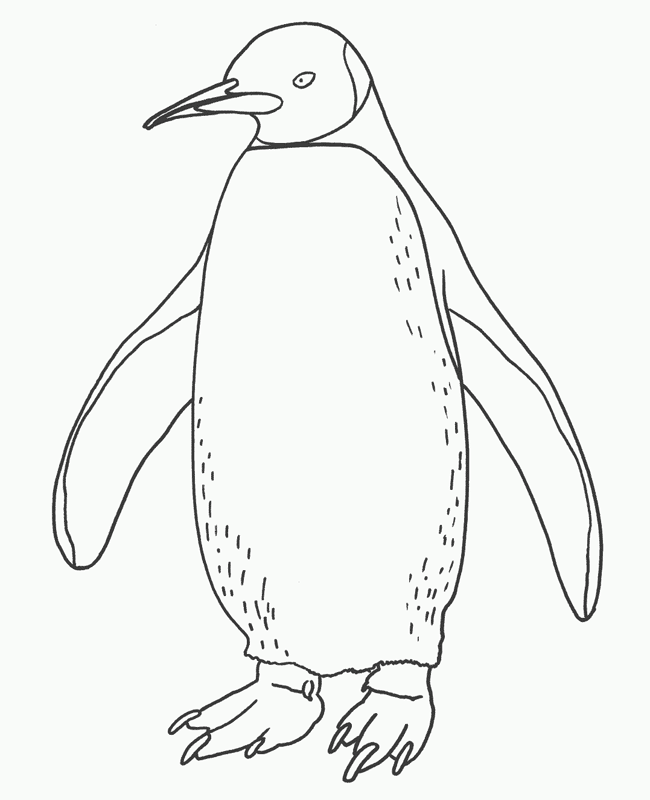 cute coloring pages of penguins
