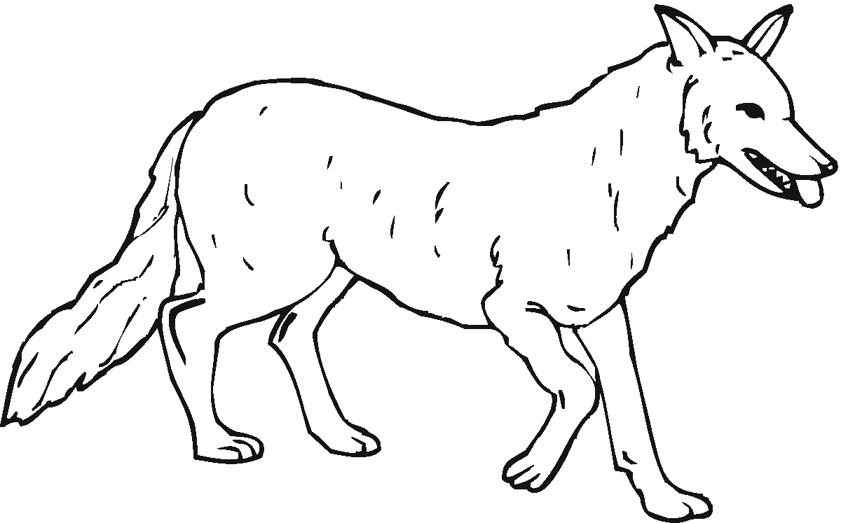Wolf Coloring PNG  Winged Wolf Coloring Pages Wolf Coloring Pages For  Adults Realistic Wolf Coloring Pages Cute Wolf Coloring Tribal Wolf  Coloring Wolf Coloring Pages Wolf Coloring Sheets Baby Wolf Coloring