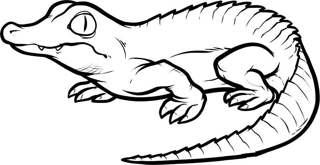 Crocodile Coloring Pages Printable 2