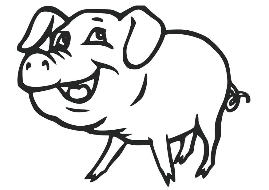 Free Printable Preschool Pig Coloring Pages Coloring Pages