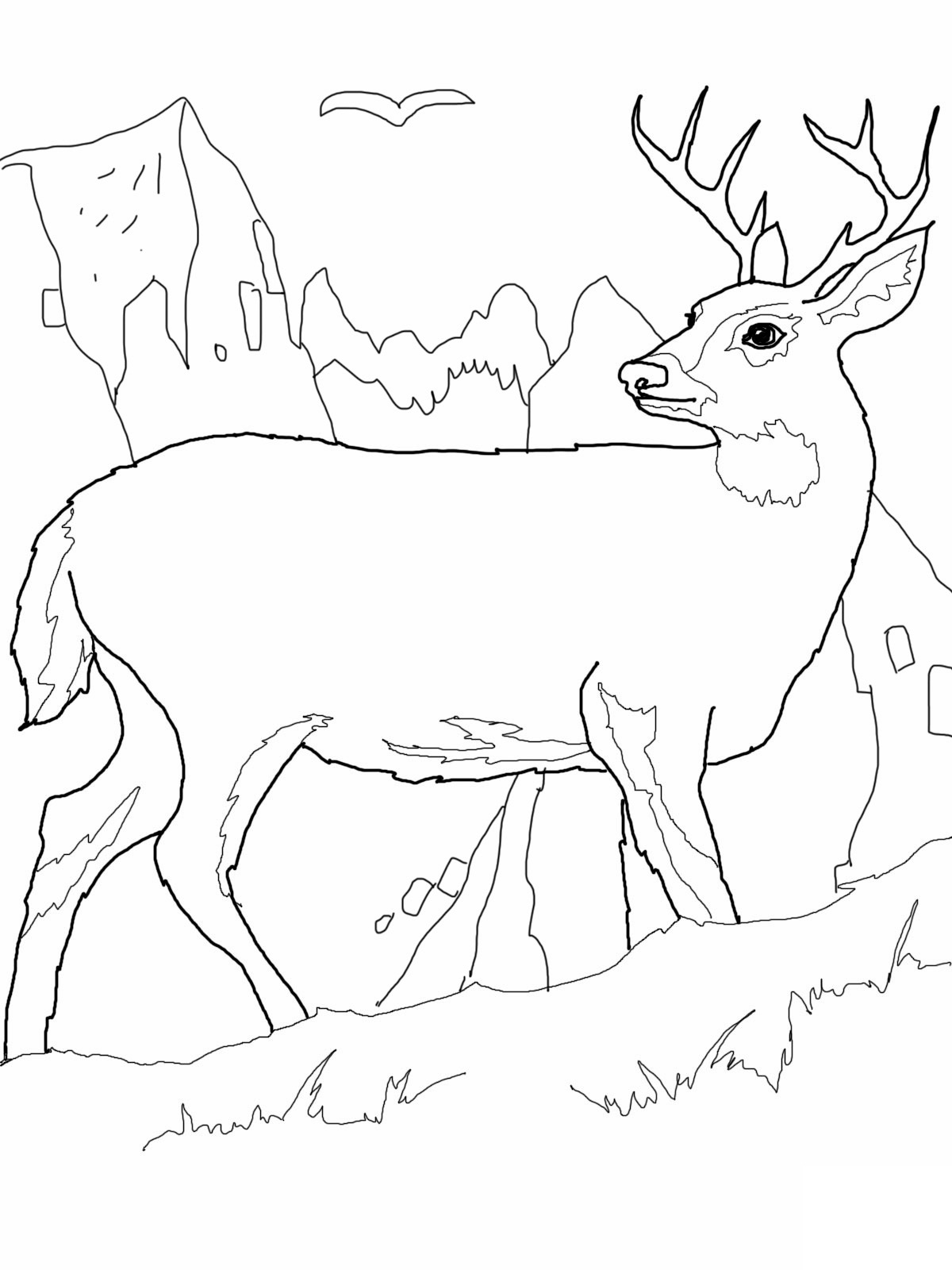 browning buck and doe coloring pages