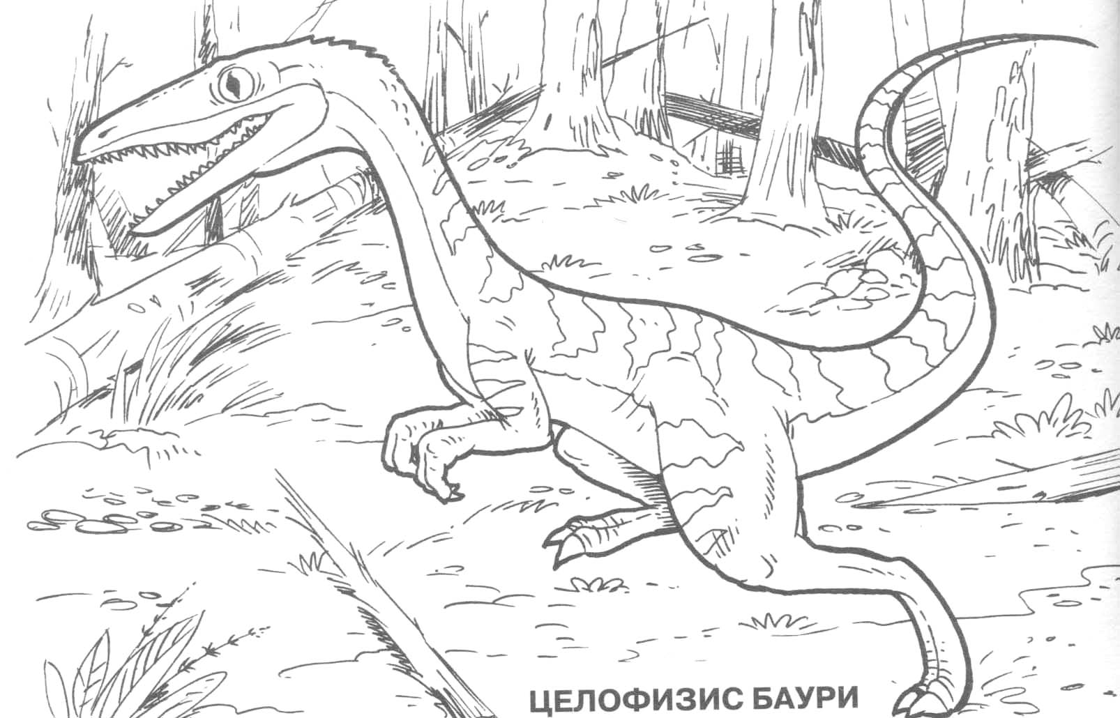 Printable Coloring Pages Dinosaurs 10
