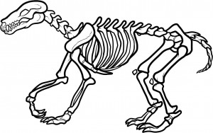 free printable skeleton coloring pages for kids