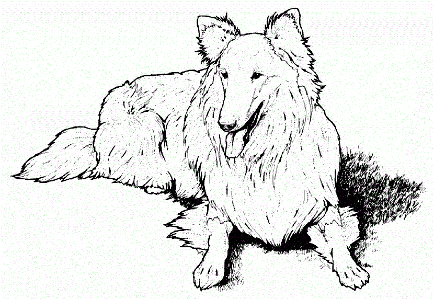 Cute Dog Coloring Pages Printable - Printable World Holiday