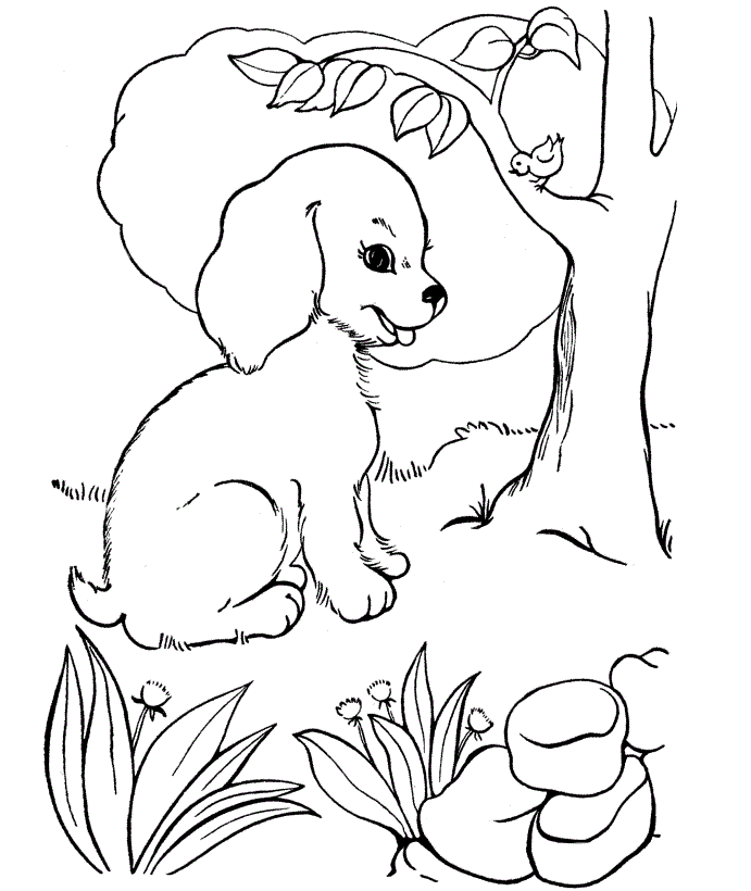 Printable Coloring Pages Dogs 6