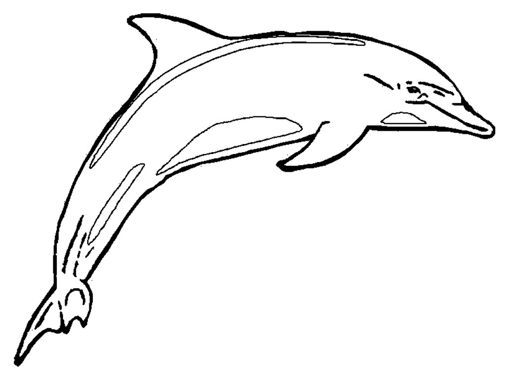 free-printable-dolphin-coloring-pages-for-kids