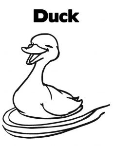 Duck Coloring Pages - Best Coloring Pages For Kids