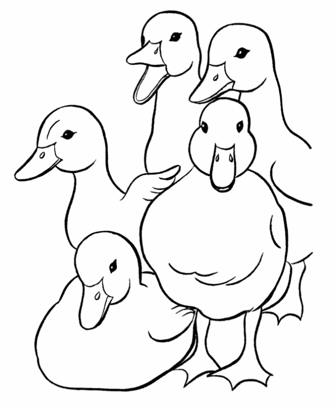 duck-coloring-pages-best-coloring-pages-for-kids