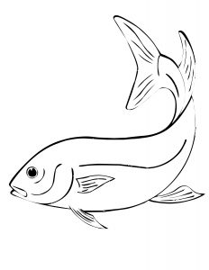 Free Printable Fish Coloring Pages For Kids