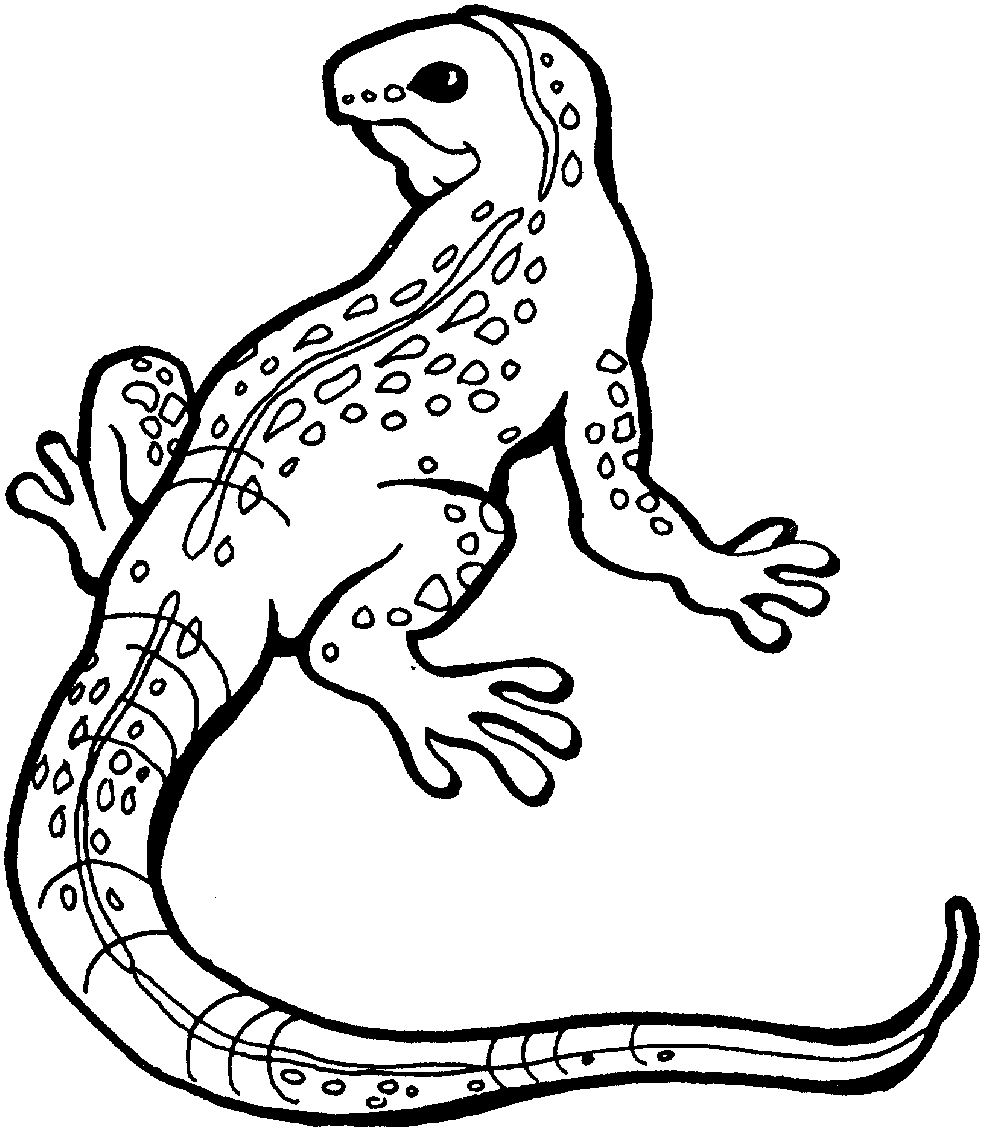 Free Printable Lizard Birthday Cards