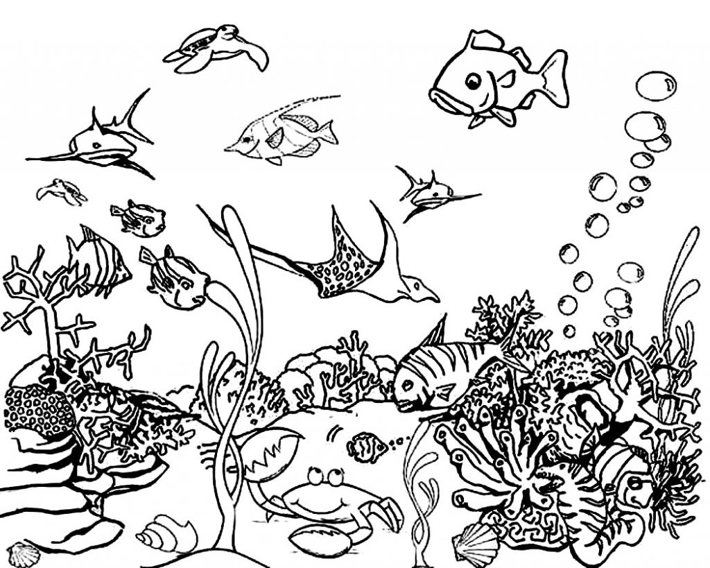 35 best free printable ocean coloring pages online - ocean coloring ...
