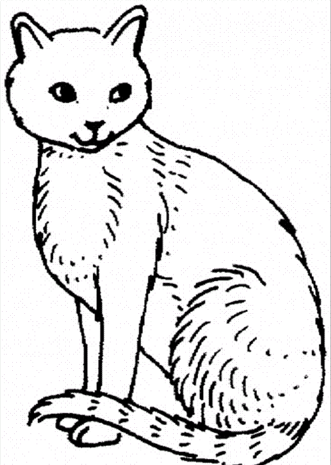 Free Cat Coloring Pages Coloring Pages