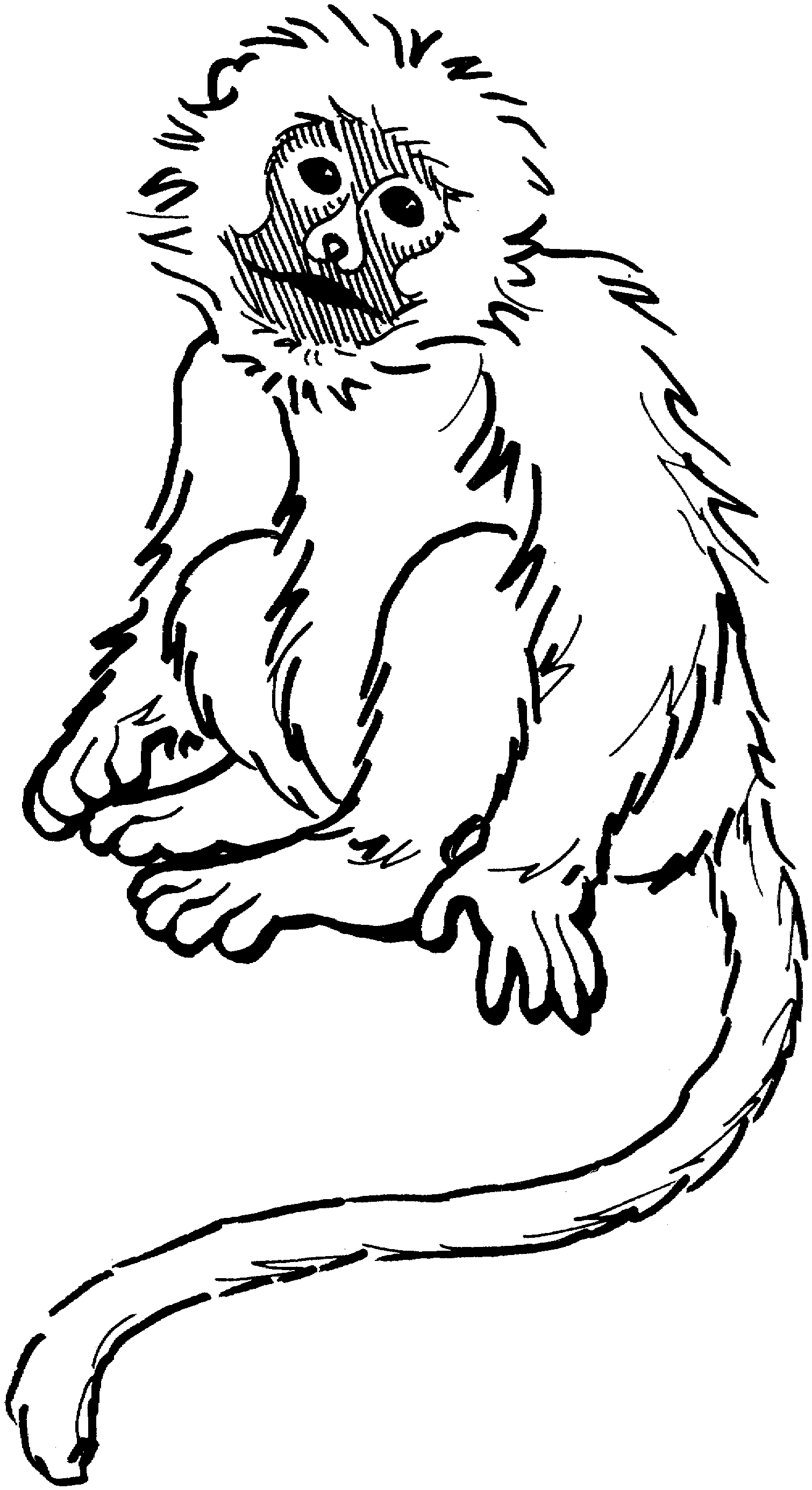 Hanging Monkey Coloring Pages