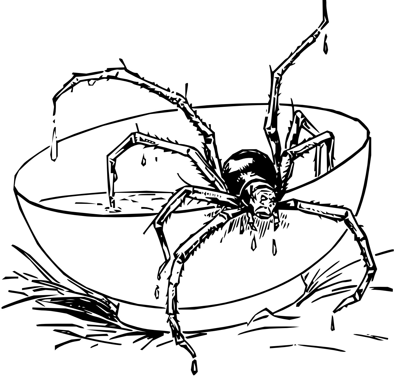 spider woman coloring pages