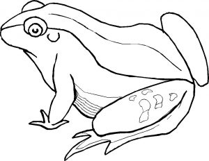 Free Printable Frog Coloring Pages For Kids