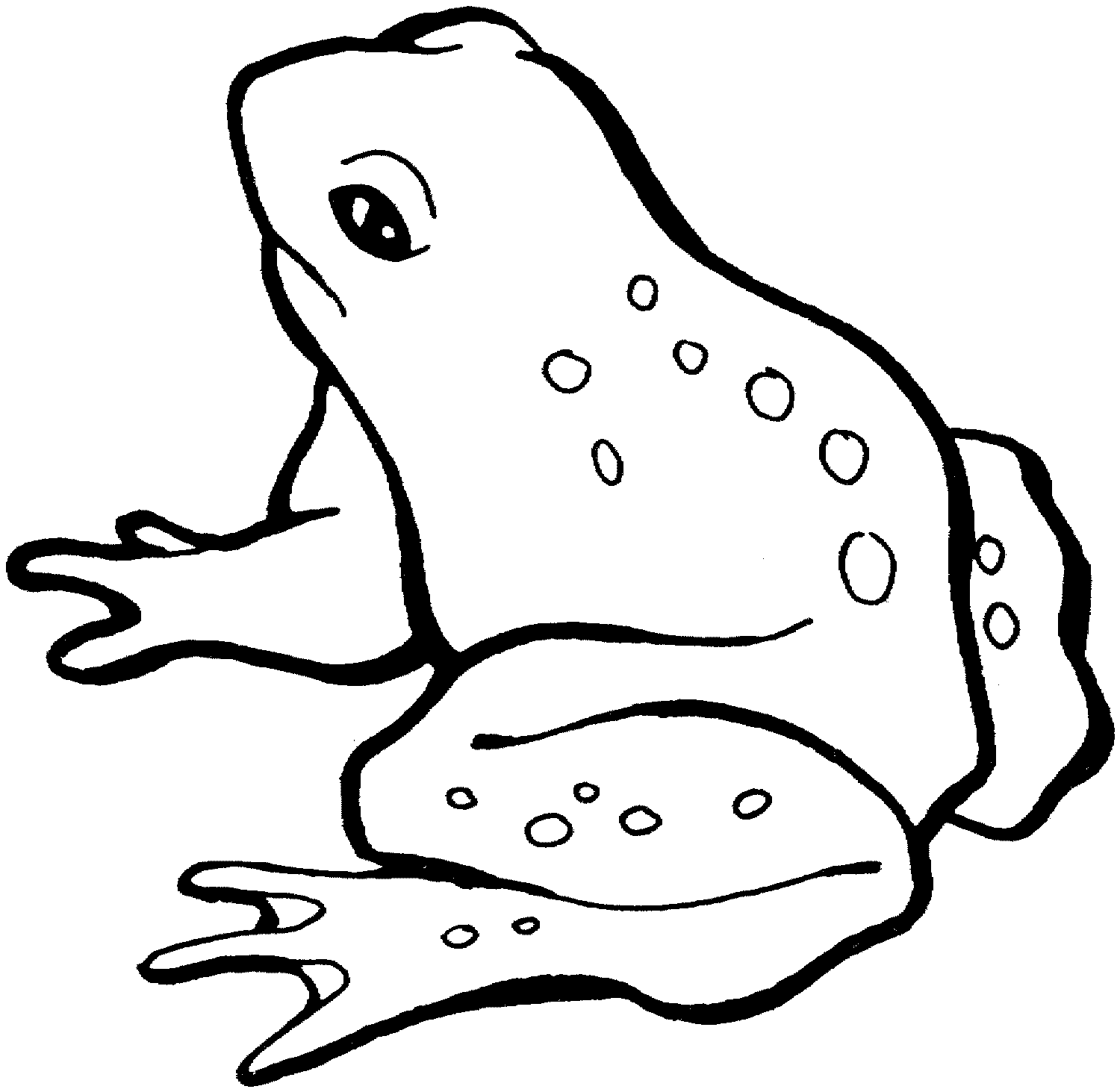 Free Printable Frog Coloring Pages - Printable Word Searches