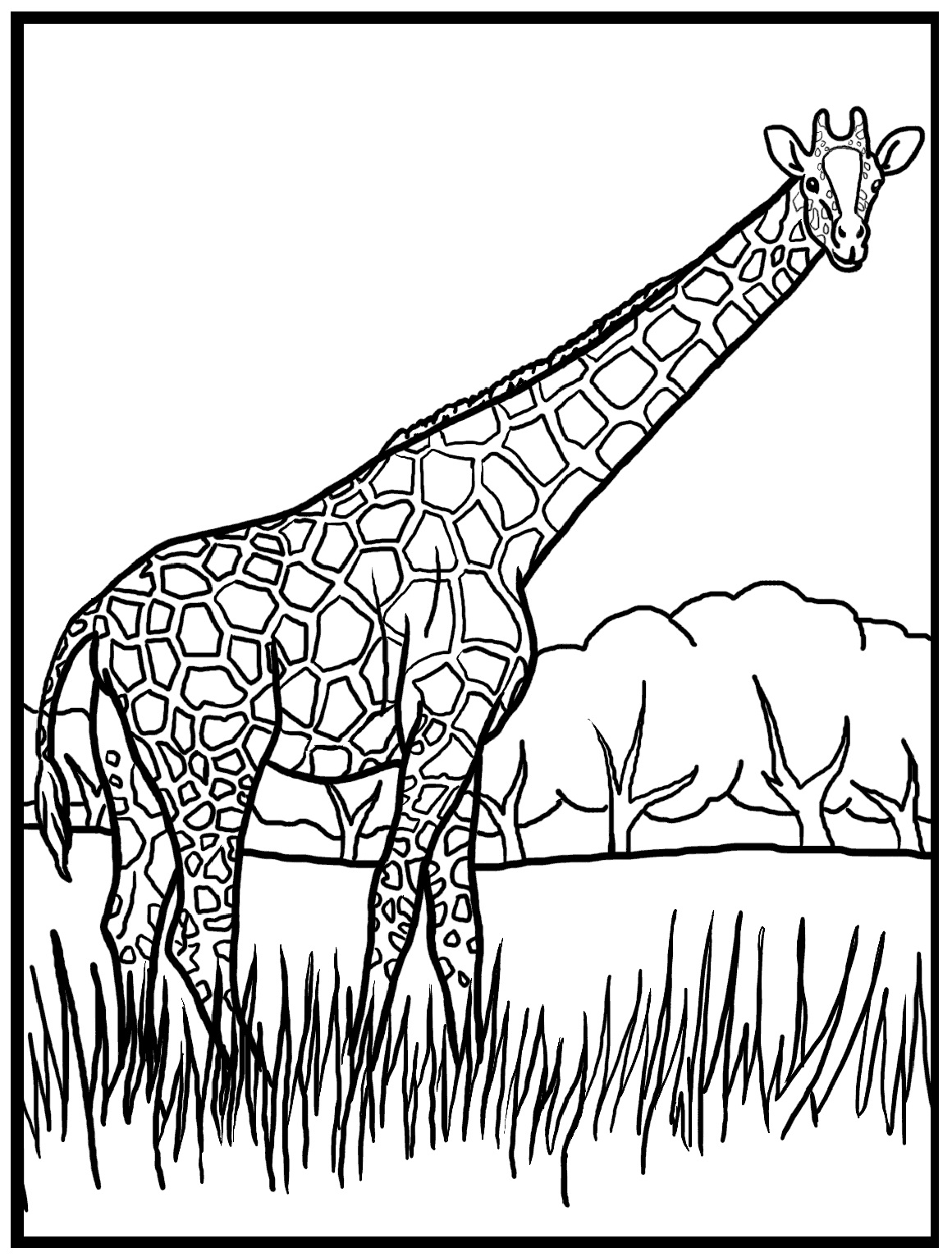 elephant outline giraffe outline