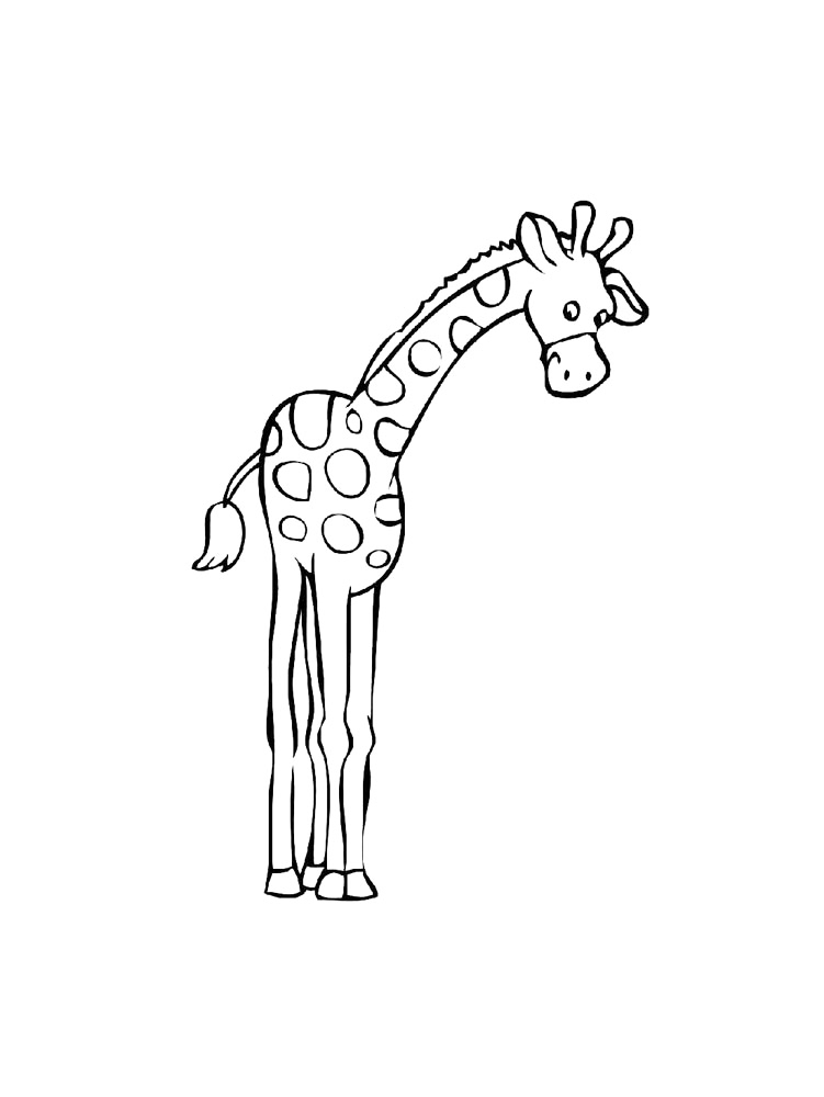 Giraffe Looking Down Coloring Page