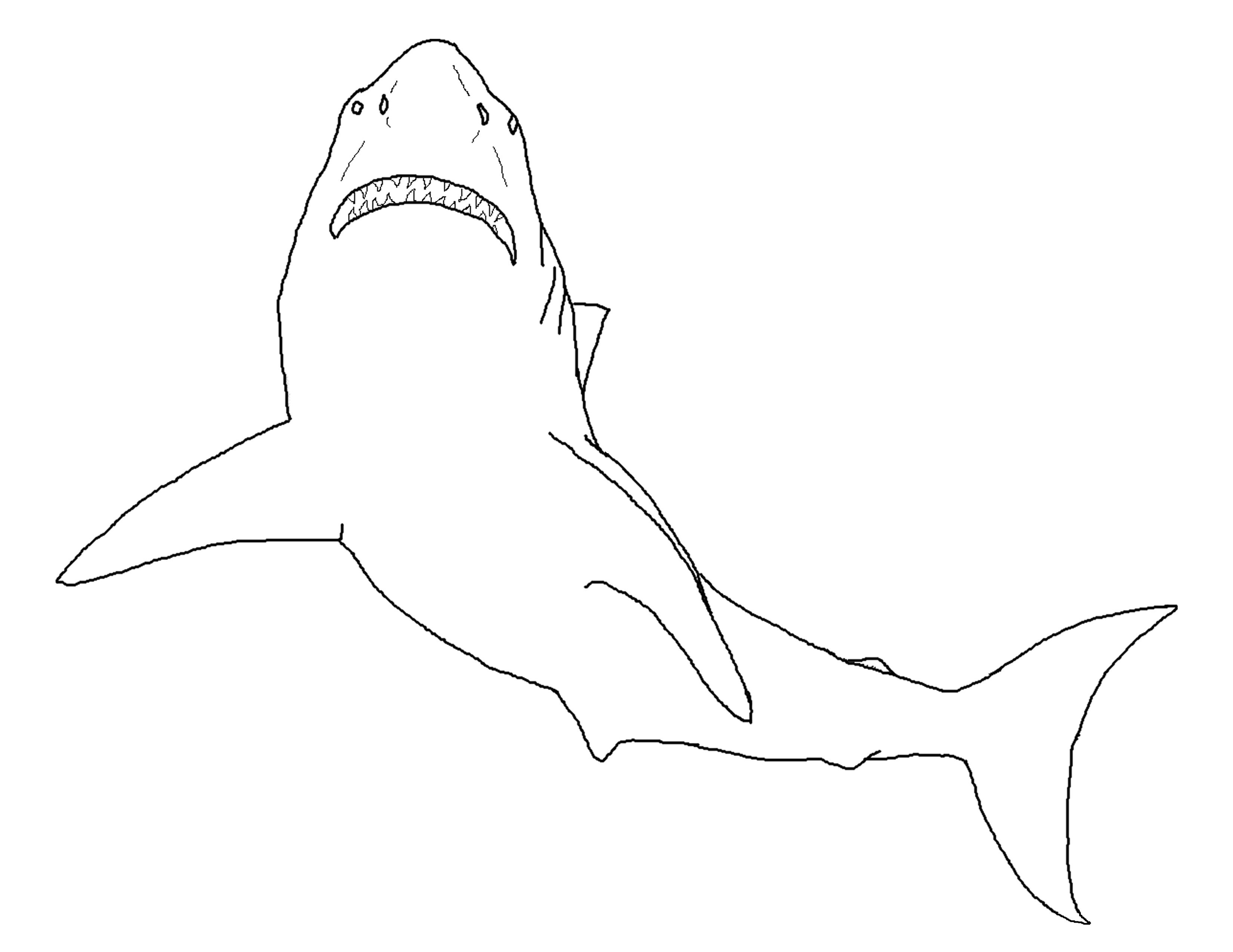 free-printable-shark-coloring-pages-for-kids