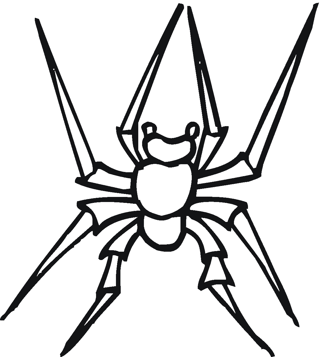 Printable Spider Coloring Pages - Printable World Holiday