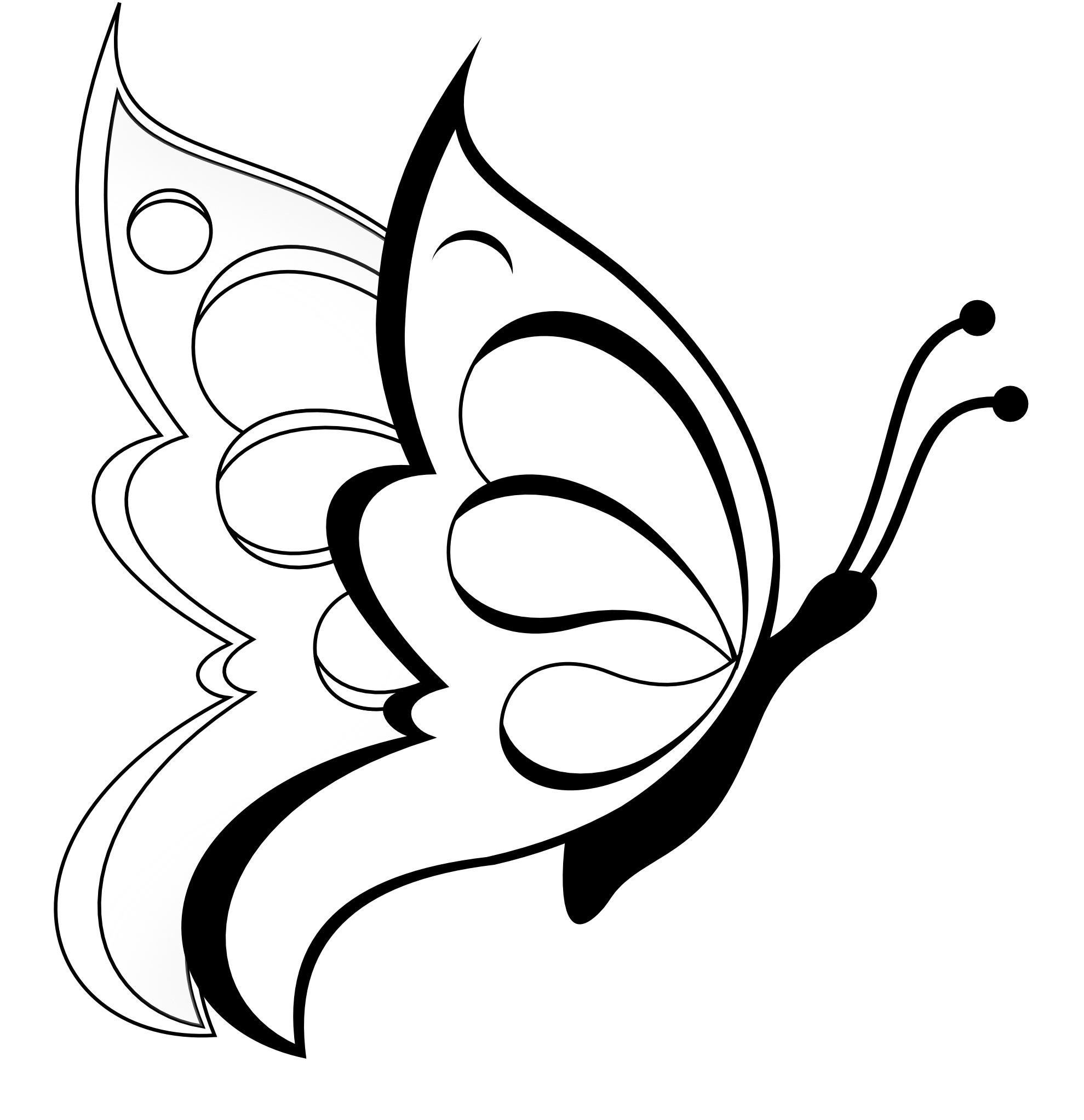840 Free Butterfly Coloring Pages For Toddlers For Free