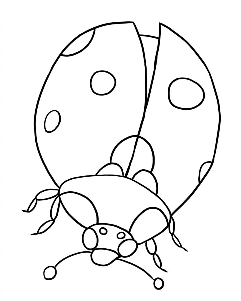 Download Free Printable Ladybug Coloring Pages For Kids