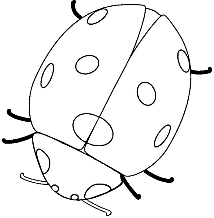 Download Free Printable Ladybug Coloring Pages For Kids