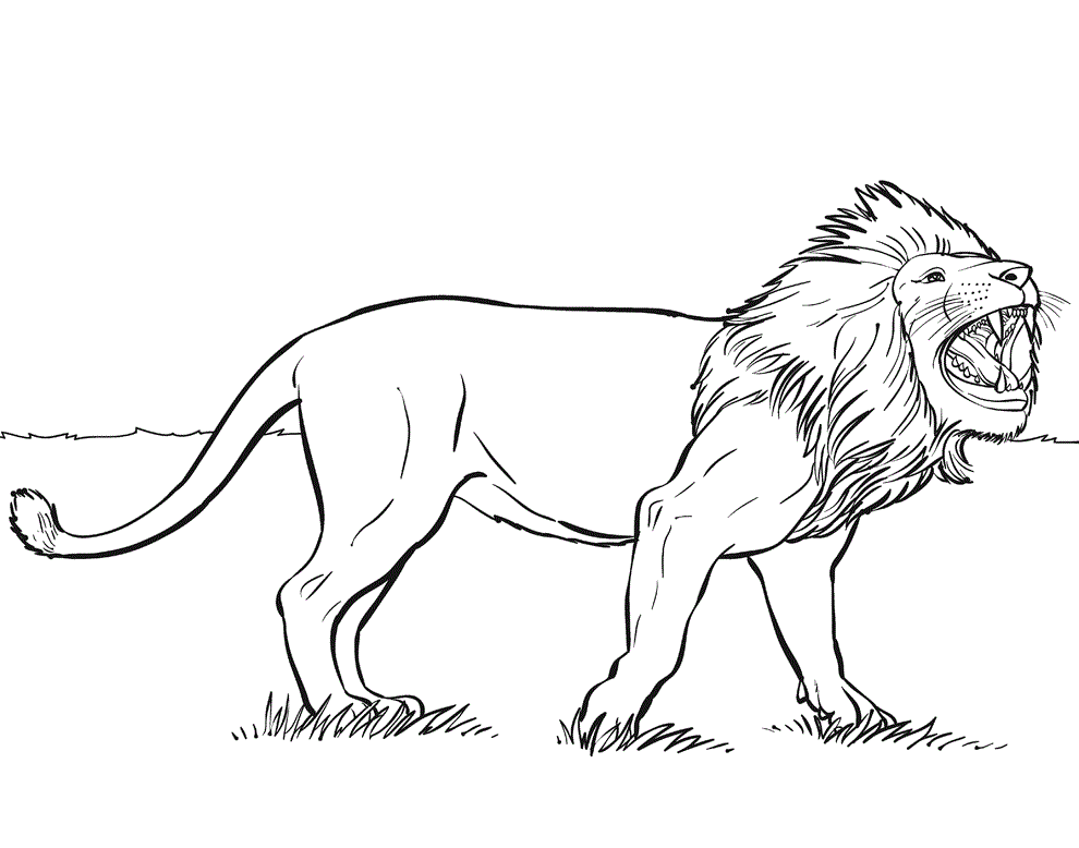 Download Free Printable Lion Coloring Pages For Kids