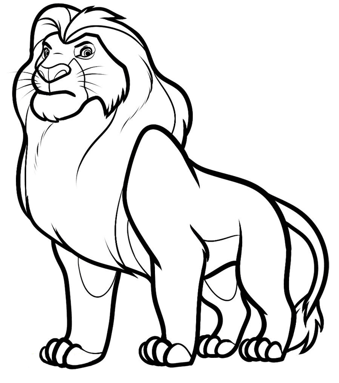 Color Lion Drawing