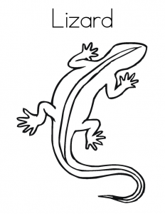 free printable lizard coloring pages for kids