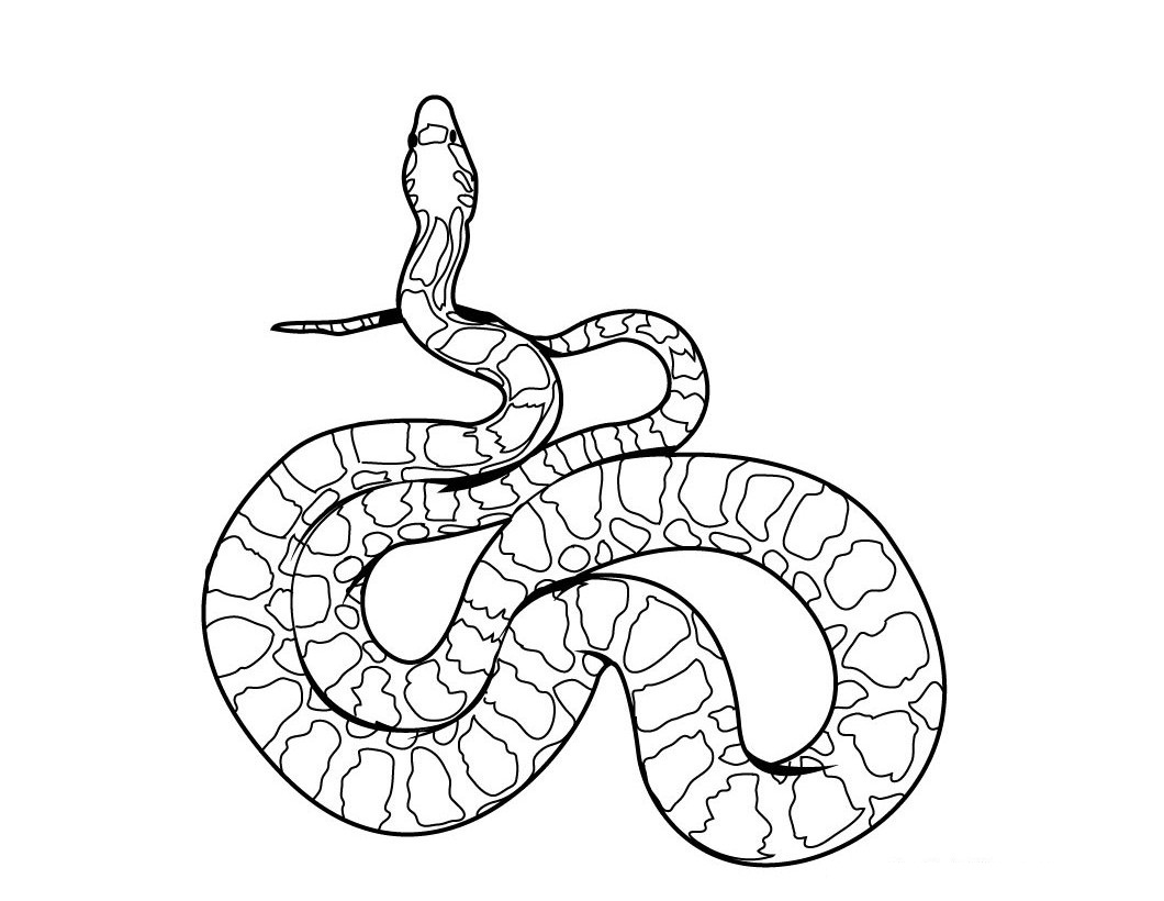Super Cool Black Mamba Coloring Page | Kids Activities Blog